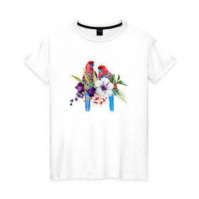 Женская футболка хлопок с принтом Попугаи в Петрозаводске, 100% хлопок | прямой крой, круглый вырез горловины, длина до линии бедер, слегка спущенное плечо | myparrots | акварель | попугаи | птиц | розелла | цветы