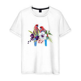 Мужская футболка хлопок с принтом Попугаи в Петрозаводске, 100% хлопок | прямой крой, круглый вырез горловины, длина до линии бедер, слегка спущенное плечо. | Тематика изображения на принте: myparrots | акварель | попугаи | птиц | розелла | цветы