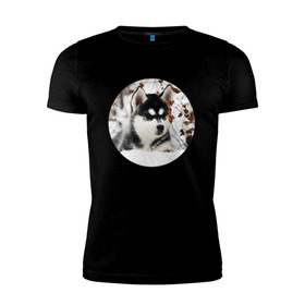 Мужская футболка премиум с принтом Щенок хаски в Петрозаводске, 92% хлопок, 8% лайкра | приталенный силуэт, круглый вырез ворота, длина до линии бедра, короткий рукав | dog | husky | собака | хаски | щенок