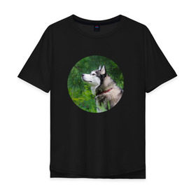 Мужская футболка хлопок Oversize с принтом Хаски в Петрозаводске, 100% хлопок | свободный крой, круглый ворот, “спинка” длиннее передней части | Тематика изображения на принте: dog | husky | собака | хаски | щенок