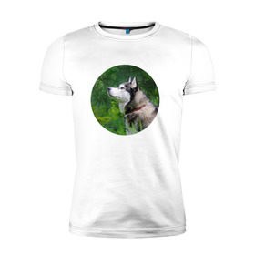 Мужская футболка премиум с принтом Хаски в Петрозаводске, 92% хлопок, 8% лайкра | приталенный силуэт, круглый вырез ворота, длина до линии бедра, короткий рукав | dog | husky | собака | хаски | щенок