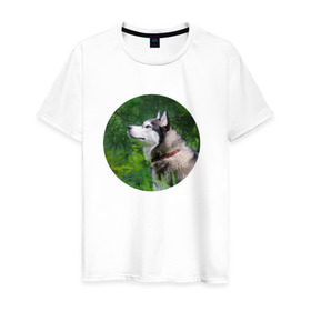 Мужская футболка хлопок с принтом Хаски в Петрозаводске, 100% хлопок | прямой крой, круглый вырез горловины, длина до линии бедер, слегка спущенное плечо. | dog | husky | собака | хаски | щенок