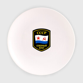 Тарелка 3D с принтом Северный флот СССР в Петрозаводске, фарфор | диаметр - 210 мм
диаметр для нанесения принта - 120 мм | северный флотвмф | северныйфлот | сф | флот