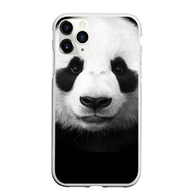 Чехол для iPhone 11 Pro матовый с принтом Панда в Петрозаводске, Силикон |  | панда
