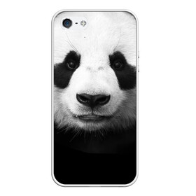 Чехол для iPhone 5/5S матовый с принтом Панда в Петрозаводске, Силикон | Область печати: задняя сторона чехла, без боковых панелей | панда