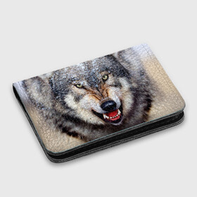 Картхолдер с принтом с принтом Волк в Петрозаводске, натуральная матовая кожа | размер 7,3 х 10 см; кардхолдер имеет 4 кармана для карт; | волк | животные | злой волк | зубы | оскал