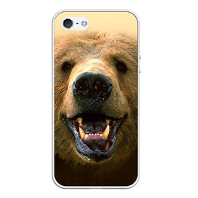 Чехол для Apple iPhone 5/5S силиконовый с принтом Мишка в Петрозаводске, Силикон | Область печати: задняя сторона чехла, без боковых панелей | Тематика изображения на принте: бурый | гризли | животные | медведь | мишка