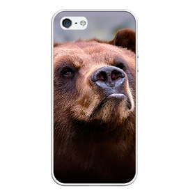 Чехол для Apple iPhone 5/5S силиконовый с принтом Медведь в Петрозаводске, Силикон | Область печати: задняя сторона чехла, без боковых панелей | Тематика изображения на принте: бурый | гризли | животные | медведь | мишка