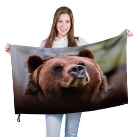 Флаг 3D с принтом Медведь в Петрозаводске, 100% полиэстер | плотность ткани — 95 г/м2, размер — 67 х 109 см. Принт наносится с одной стороны | бурый | гризли | животные | медведь | мишка