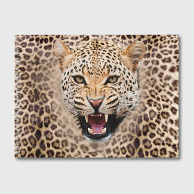 Альбом для рисования с принтом Леопард в Петрозаводске, 100% бумага
 | матовая бумага, плотность 200 мг. | Тематика изображения на принте: животные | зубы | киса | киска | кошка | леопард | оскал