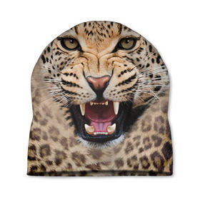 Шапка 3D с принтом Леопард в Петрозаводске, 100% полиэстер | универсальный размер, печать по всей поверхности изделия | животные | зубы | киса | киска | кошка | леопард | оскал