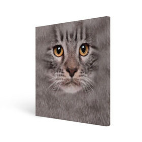 Холст квадратный с принтом Котик в Петрозаводске, 100% ПВХ |  | животное | киса | кот | котик | кошка