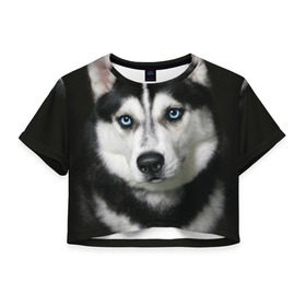 Женская футболка 3D укороченная с принтом Хаски в Петрозаводске, 100% полиэстер | круглая горловина, длина футболки до линии талии, рукава с отворотами | животные | собака | хаски