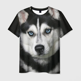 Мужская футболка 3D с принтом Хаски в Петрозаводске, 100% полиэфир | прямой крой, круглый вырез горловины, длина до линии бедер | животные | собака | хаски