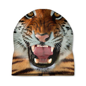 Шапка 3D с принтом Тигр в Петрозаводске, 100% полиэстер | универсальный размер, печать по всей поверхности изделия | животные | зубы | кошка | тигр