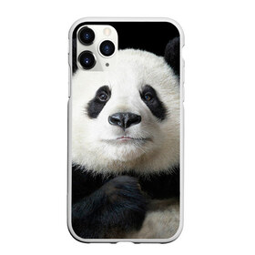 Чехол для iPhone 11 Pro матовый с принтом Панда в Петрозаводске, Силикон |  | панда