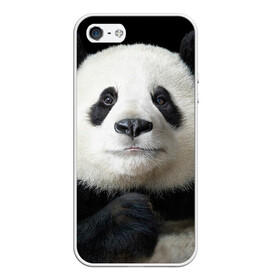 Чехол для iPhone 5/5S матовый с принтом Панда в Петрозаводске, Силикон | Область печати: задняя сторона чехла, без боковых панелей | панда