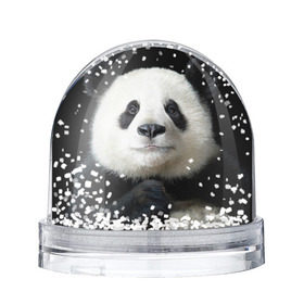 Снежный шар с принтом Панда в Петрозаводске, Пластик | Изображение внутри шара печатается на глянцевой фотобумаге с двух сторон | панда