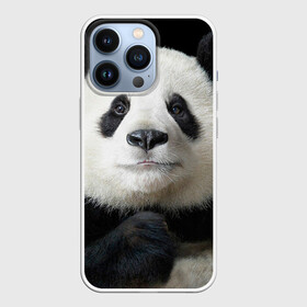 Чехол для iPhone 13 Pro с принтом Панда в Петрозаводске,  |  | панда