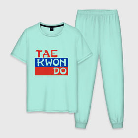 Мужская пижама хлопок с принтом Taekwondo Россия в Петрозаводске, 100% хлопок | брюки и футболка прямого кроя, без карманов, на брюках мягкая резинка на поясе и по низу штанин
 | тхэквондо