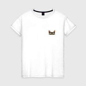 Женская футболка хлопок с принтом Кот в кармашке в Петрозаводске, 100% хлопок | прямой крой, круглый вырез горловины, длина до линии бедер, слегка спущенное плечо | Тематика изображения на принте: в кармане | киса | кот | коты | кошки | подглядывающий
