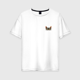 Женская футболка хлопок Oversize с принтом Кот в кармашке в Петрозаводске, 100% хлопок | свободный крой, круглый ворот, спущенный рукав, длина до линии бедер
 | в кармане | киса | кот | коты | кошки | подглядывающий