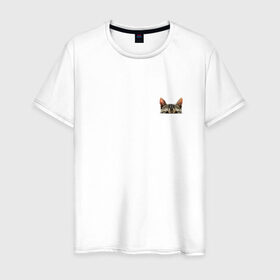 Мужская футболка хлопок с принтом Кот в кармашке в Петрозаводске, 100% хлопок | прямой крой, круглый вырез горловины, длина до линии бедер, слегка спущенное плечо. | в кармане | киса | кот | коты | кошки | подглядывающий