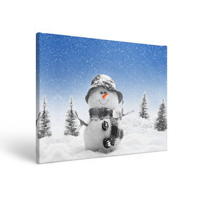 Холст прямоугольный с принтом Снеговик в Петрозаводске, 100% ПВХ |  | 2016 | winter | год | зима | мартышка | новогодний | новый | обезьяна | обезьянка | подарок | с новым годом | снег | снеговик