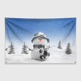 Флаг-баннер с принтом Снеговик в Петрозаводске, 100% полиэстер | размер 67 х 109 см, плотность ткани — 95 г/м2; по краям флага есть четыре люверса для крепления | 2016 | winter | год | зима | мартышка | новогодний | новый | обезьяна | обезьянка | подарок | с новым годом | снег | снеговик
