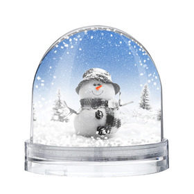 Снежный шар с принтом Снеговик в Петрозаводске, Пластик | Изображение внутри шара печатается на глянцевой фотобумаге с двух сторон | 2016 | winter | год | зима | мартышка | новогодний | новый | обезьяна | обезьянка | подарок | с новым годом | снег | снеговик