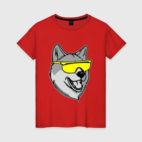 Женская футболка хлопок с принтом Хаски в очках в Петрозаводске, 100% хлопок | прямой крой, круглый вырез горловины, длина до линии бедер, слегка спущенное плечо | голова | животные | очки | пес | собака | хаски