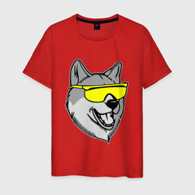 Мужская футболка хлопок с принтом Хаски в очках в Петрозаводске, 100% хлопок | прямой крой, круглый вырез горловины, длина до линии бедер, слегка спущенное плечо. | голова | животные | очки | пес | собака | хаски