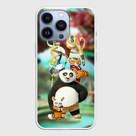 Чехол для iPhone 13 Pro с принтом Кунг фу панда в Петрозаводске,  |  | kung fu | kung fu panda | panda | кунг фу | кунг фу панда | кунгфу | панда. кунг фу | по
