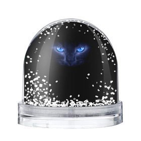 Водяной шар с принтом Кошка с голубыми глазами в Петрозаводске, Пластик | Изображение внутри шара печатается на глянцевой фотобумаге с двух сторон | глаза | кот | синий