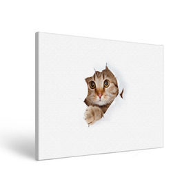 Холст прямоугольный с принтом Котик в Петрозаводске, 100% ПВХ |  | Тематика изображения на принте: кот | котенок | котик | кошка | милый
