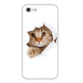 Чехол для iPhone 5/5S матовый с принтом Котик в Петрозаводске, Силикон | Область печати: задняя сторона чехла, без боковых панелей | Тематика изображения на принте: кот | котенок | котик | кошка | милый