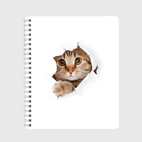 Тетрадь с принтом Котик в Петрозаводске, 100% бумага | 48 листов, плотность листов — 60 г/м2, плотность картонной обложки — 250 г/м2. Листы скреплены сбоку удобной пружинной спиралью. Уголки страниц и обложки скругленные. Цвет линий — светло-серый
 | кот | котенок | котик | кошка | милый
