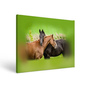 Холст прямоугольный с принтом Лошади 2 в Петрозаводске, 100% ПВХ |  | horse | horseshoe | акварель | головалошади | грива | единорог | жеребец | животные | конь | лошадь | лошадьскрыльями | подкова | природа | рисуноккрасками
