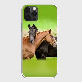 Чехол для iPhone 12 Pro Max с принтом Лошади 2 в Петрозаводске, Силикон |  | Тематика изображения на принте: horse | horseshoe | акварель | головалошади | грива | единорог | жеребец | животные | конь | лошадь | лошадьскрыльями | подкова | природа | рисуноккрасками