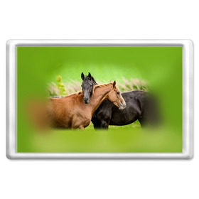 Магнит 45*70 с принтом Лошади 2 в Петрозаводске, Пластик | Размер: 78*52 мм; Размер печати: 70*45 | horse | horseshoe | акварель | головалошади | грива | единорог | жеребец | животные | конь | лошадь | лошадьскрыльями | подкова | природа | рисуноккрасками