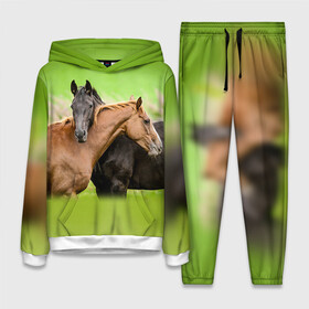 Женский костюм 3D (с толстовкой) с принтом Лошади 2 в Петрозаводске,  |  | horse | horseshoe | акварель | головалошади | грива | единорог | жеребец | животные | конь | лошадь | лошадьскрыльями | подкова | природа | рисуноккрасками