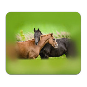 Коврик прямоугольный с принтом Лошади 2 в Петрозаводске, натуральный каучук | размер 230 х 185 мм; запечатка лицевой стороны | horse | horseshoe | акварель | головалошади | грива | единорог | жеребец | животные | конь | лошадь | лошадьскрыльями | подкова | природа | рисуноккрасками
