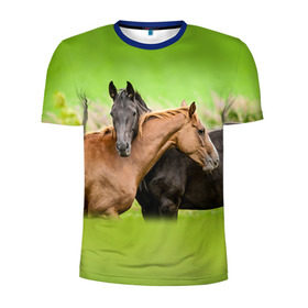 Мужская футболка 3D спортивная с принтом Лошади 2 в Петрозаводске, 100% полиэстер с улучшенными характеристиками | приталенный силуэт, круглая горловина, широкие плечи, сужается к линии бедра | horse | horseshoe | акварель | головалошади | грива | единорог | жеребец | животные | конь | лошадь | лошадьскрыльями | подкова | природа | рисуноккрасками
