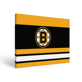 Холст прямоугольный с принтом Boston Bruins в Петрозаводске, 100% ПВХ |  | boston bruins | hockey | nhl | нхл | спорт | хоккей