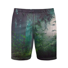 Мужские шорты 3D спортивные с принтом Таинственный лес в Петрозаводске,  |  | деревья | зелень | на макете изображен таинственный зеленый леслес