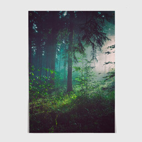 Постер с принтом Таинственный лес в Петрозаводске, 100% бумага
 | бумага, плотность 150 мг. Матовая, но за счет высокого коэффициента гладкости имеет небольшой блеск и дает на свету блики, но в отличии от глянцевой бумаги не покрыта лаком | деревья | зелень | на макете изображен таинственный зеленый леслес