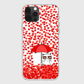 Чехол для iPhone 12 Pro Max с принтом Сердцепад в Петрозаводске, Силикон |  | Тематика изображения на принте: зонтик | кот | сердитый | сердца | сердцепад