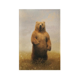 Обложка для паспорта матовая кожа с принтом Медведь в поле в Петрозаводске, натуральная матовая кожа | размер 19,3 х 13,7 см; прозрачные пластиковые крепления | Тематика изображения на принте: bear | медведь | одуванчики | русский медведь в чистом русском поле мечта патриотаполе | сено