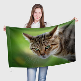 Флаг 3D с принтом Кот в Петрозаводске, 100% полиэстер | плотность ткани — 95 г/м2, размер — 67 х 109 см. Принт наносится с одной стороны | домашняя | животное | кот | котэ | кошка