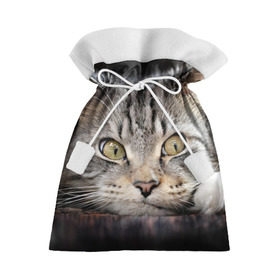 Подарочный 3D мешок с принтом Кот в Петрозаводске, 100% полиэстер | Размер: 29*39 см | Тематика изображения на принте: домашняя | животное | кот | котэ | кошка